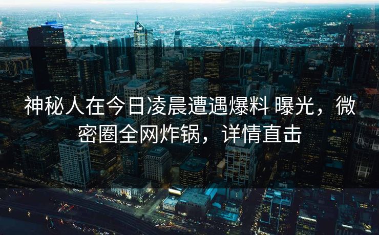 神秘人在今日凌晨遭遇爆料 曝光，微密圈全网炸锅，详情直击