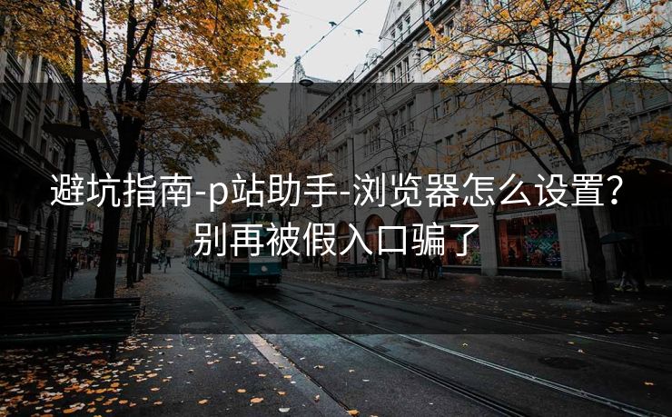 避坑指南-p站助手-浏览器怎么设置？别再被假入口骗了